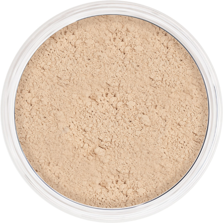 KRYOLAN ANTI SHINE POWDER
